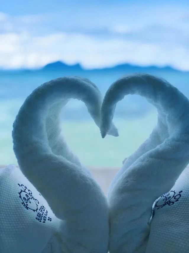 Towel art on bed, Family Ocean-View Room, Bubblefish Water Villa